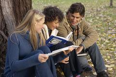 Three college students sitting together, studying against the base of a large tree.